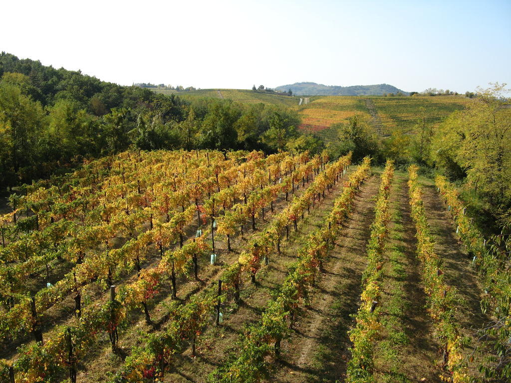 Bosco Romagno Villa Cividale del Friuli Екстериор снимка