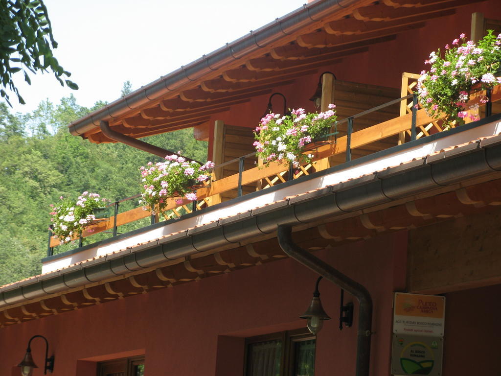 Bosco Romagno Villa Cividale del Friuli Стая снимка